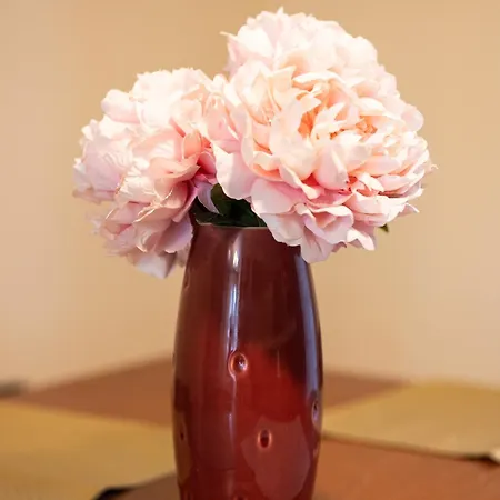 Apartment Majda Elegant With Prime Location And Parking *