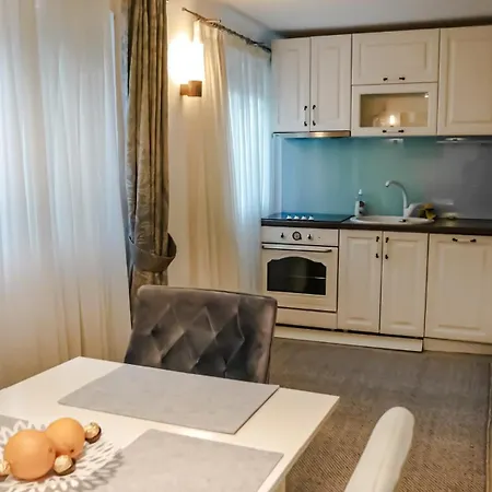 Majda Elegant With Prime Location And Parking * Liubliana